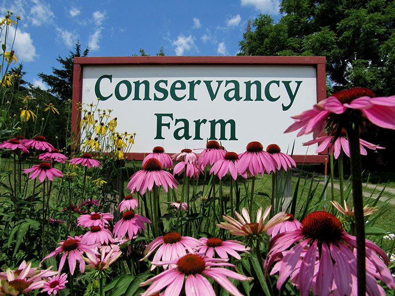 Conservancy Farm Sign by W. Pellerito
