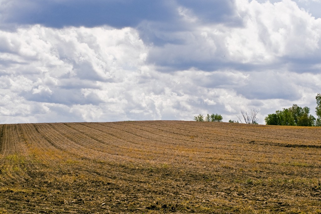 Protected Landscape photo by Rich Lawton