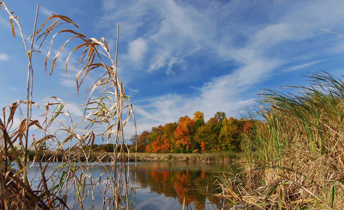 Jack R. Smiley Nature Preserve Southeast Michigan Land Conservancy