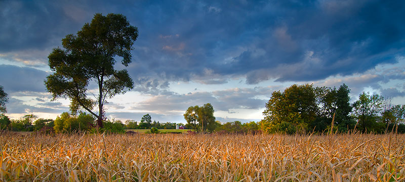 Jack R. Smiley Nature Preserve. Photo by Charles Scott